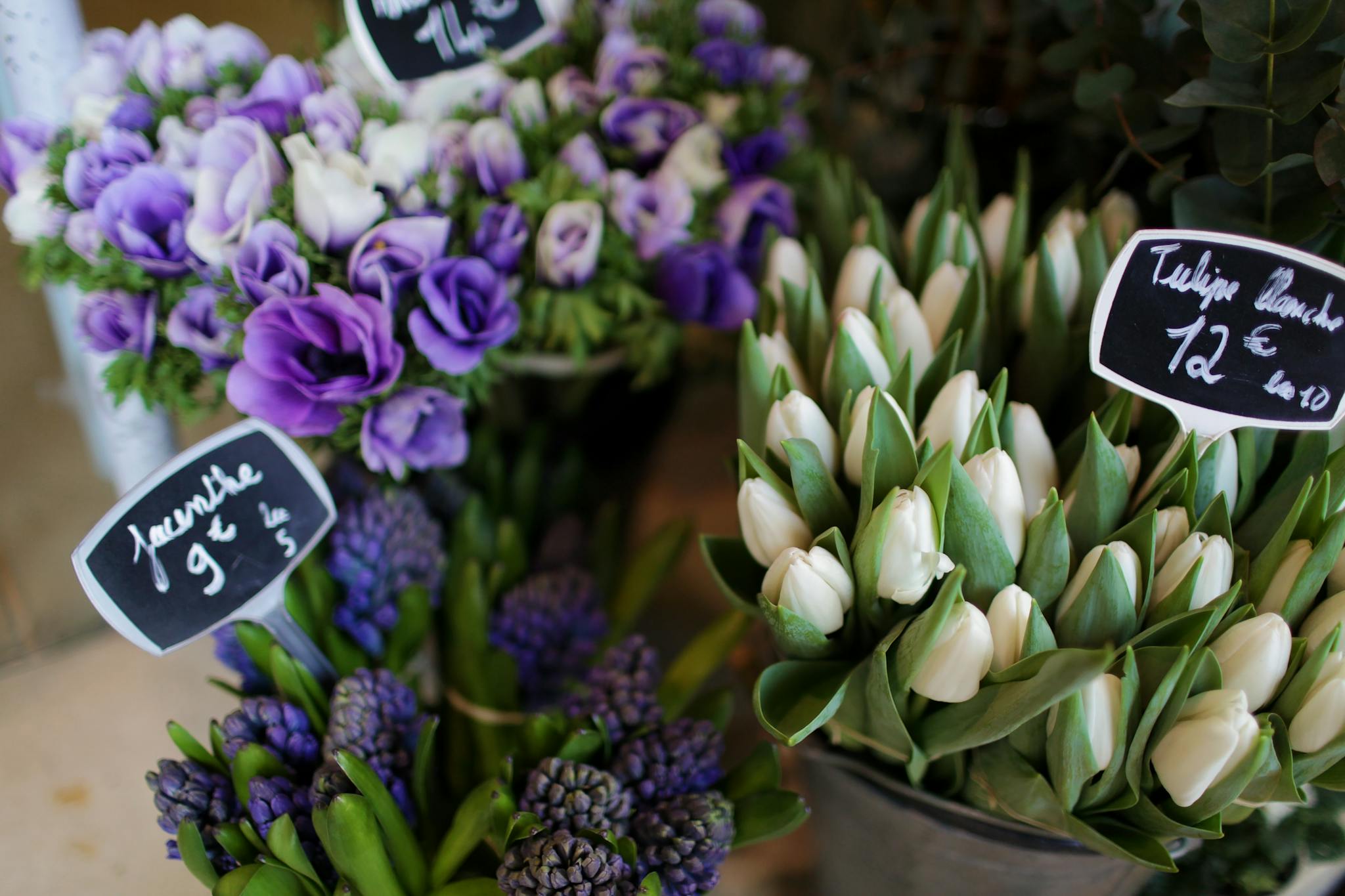 Spring flowers in flower shop